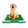 baño perro 2