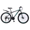 bici verde 1